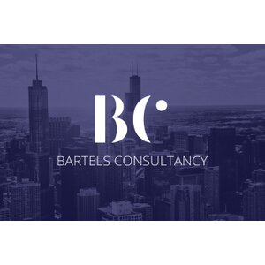 Bartels Consultancy - Dion Bartels logo