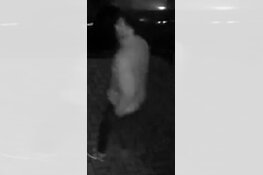 Tiel - Gezocht - Dieven gaan er met tuinbeelden vandoor