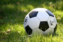 Dzenan Keric nieuwe aanwinst TEC