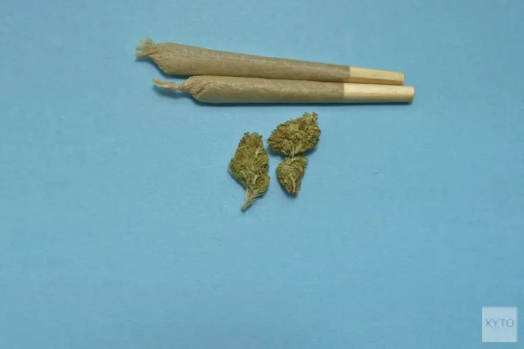 Eerste stap in verplaatsing coffeeshops Tiel
