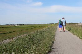 Maak grote stappen voor de Nierstichting tijdens de Nierdaagse