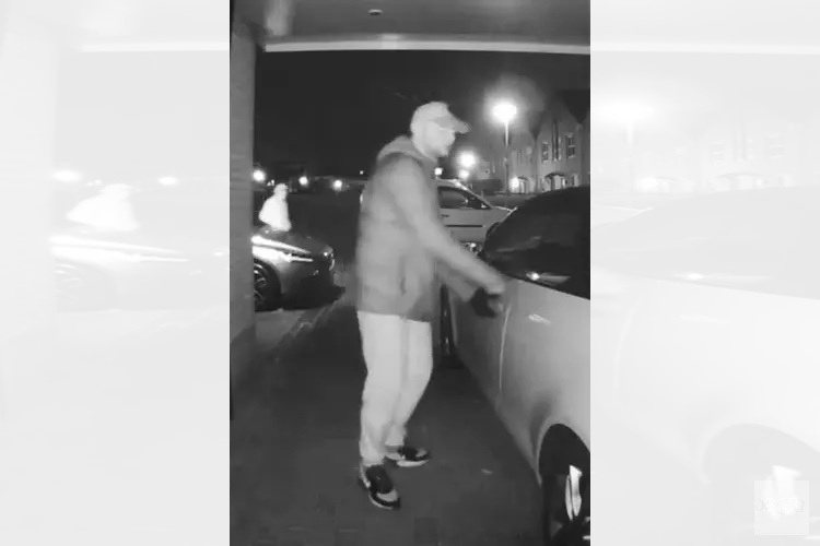 Gezocht: Radio/navigatie gestolen uit geparkeerde auto