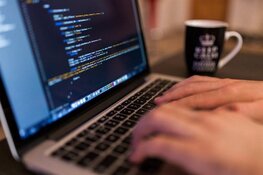 Cel- en taakstraffen voor omkopen agent
