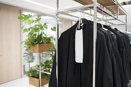 Man bestraft voor ontucht met pony's