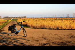 Elektrische fiets en de actieradius