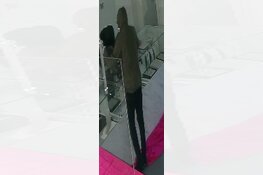 Gezocht: Inbraak Voorstad