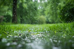 Warm lenteweer zet nog paar dagen door, gevolgd door wisselvalligheid