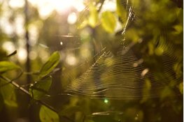 Over een week is het herfst, maar eerst wacht nog een mooi weekje nazomer