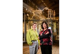 Theater over pinguïn-trio's en lesbische leeuwinnen