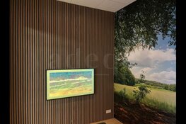 Geluidsabsorberende kunst: akoestische wandpanelen in de woonkamer