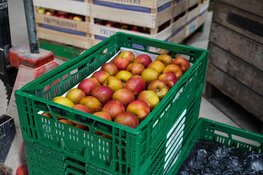 Evenement De Appeldag bij Van Haaften Fruit op 3 juli