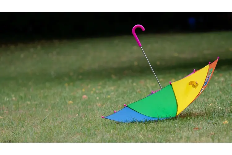 Zomer kent kleine opleving deze week, daarna weer wisselvalliger