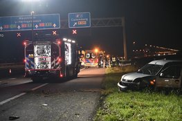 Paard overleden na ongeval met meerdere personenautos op A2