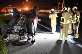 Paard overleden na ongeval met meerdere personenautos op A2