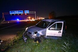 Paard overleden na ongeval met meerdere personenautos op A2