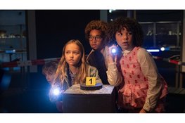 De leukste familiefilms met kerst zie je bij Theater De Fransche School