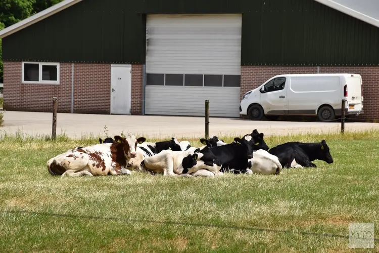 Waarde landbouwexport ruim 8 procent hoger in 2025