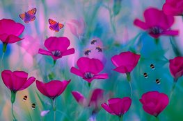 Kunstenaar én vrijwilliger bij theater De Fransche School