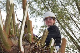 Samen aan de slag tijdens de Nationale Natuurwerkdagen